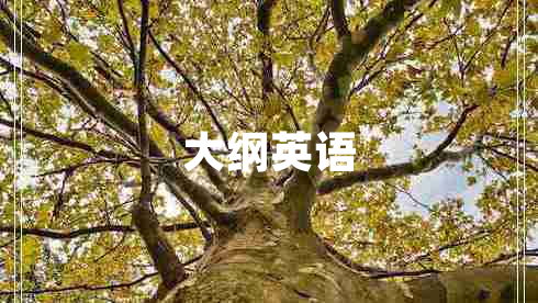 大綱英語(yǔ)
