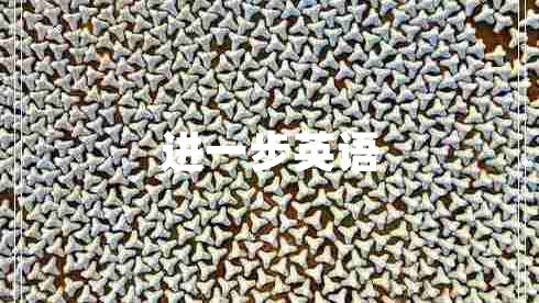 進一步英語