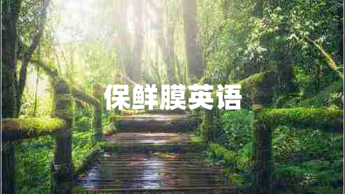 保鮮膜英語