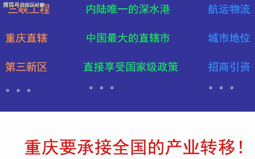 死飛固齒在新鄉(xiāng)市場(chǎng)的營(yíng)銷(xiāo)策劃方案總結(jié)