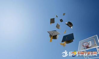 初中畢業(yè)活動(dòng)策劃方案
