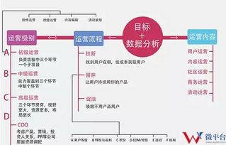 為偶像來(lái)了策劃新媒體營(yíng)銷(xiāo)方案