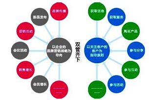 網(wǎng)站運營(yíng)策劃方案書(shū)