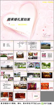 花為主題策劃方案PPT