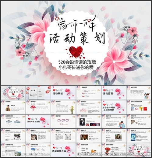 情感節目策劃方案