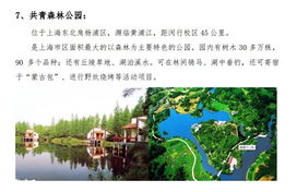 清明節景區策劃方案