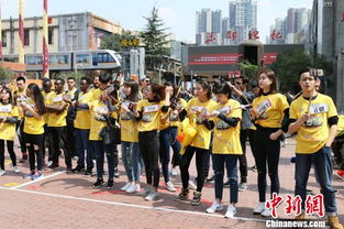 大型戶(hù)外真人秀節(jié)目策劃方案