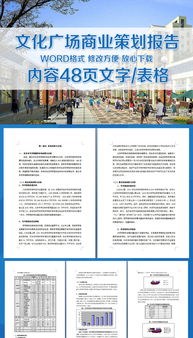 商業(yè)文化活動(dòng)策劃方案