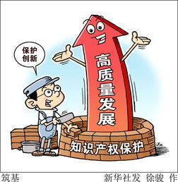 商業(yè)策劃方案野獸知識產(chǎn)權保護