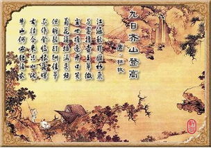 九九重陽(yáng)節(jié)策劃方案總結(jié)