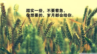 早上勵志正能量的句子早安,早上勵志的話(huà)正能量句子,早上勵志的說(shuō)說(shuō)正能量經(jīng)典句子