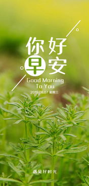 關(guān)于周三正能量的句子
