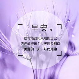 細節的正能量句子,重在細節正能量句子,關(guān)于堅持的正能量句子
