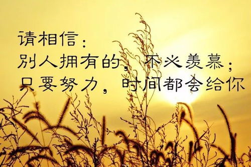 討厭正能量的句子