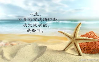 感謝的正能量句子