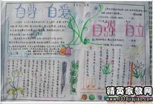 弘揚正能量手抄報句子