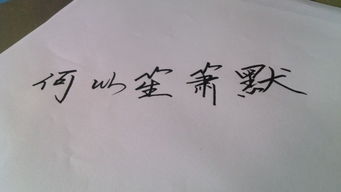 正能量鋼筆字作品,關(guān)于鋼筆字的優(yōu)美句子,對鋼筆字的贊美的句子