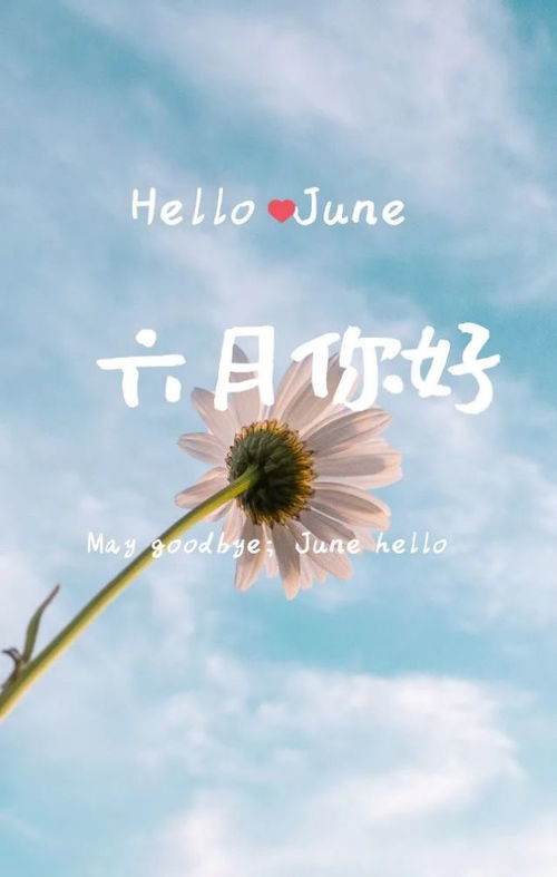 新的六月開(kāi)始正能量句子
