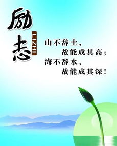 句子,能量,商家