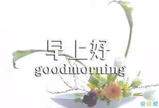 早上積極正能量的句子,早上上班正能量的句子,早上滿(mǎn)滿(mǎn)的正能量句子