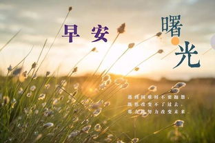 早晨正能量句子大全