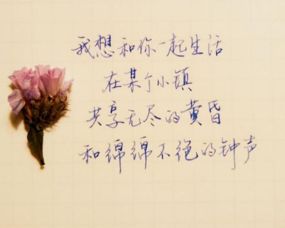 友情的句子正能量簡(jiǎn)短句子