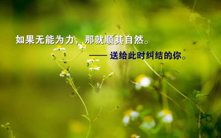 溫暖人心的正能量句子,早安激勵人心的正能量句子,激勵人心奮斗正能量的句子