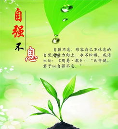關(guān)于堅持的正能量句子,懂得感恩的正能量句子,新的開(kāi)始新的起點(diǎn)正能量句子
