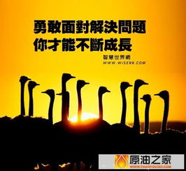 句子,能量,成長