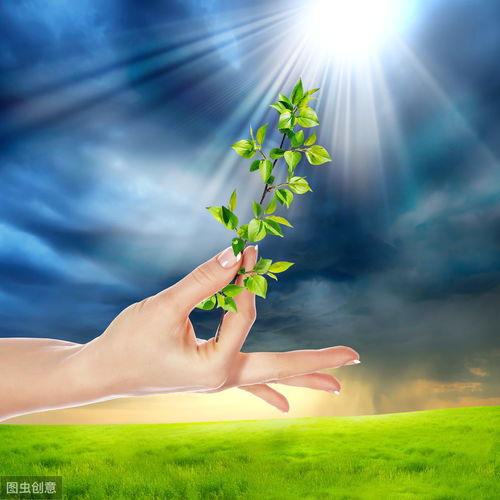積極向上,句子,能量,陽(yáng)光