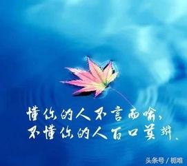 護(hù)士正能量的句子簡短唯美,樂觀正能量的句子簡短唯美,有哲理正能量的句子唯美