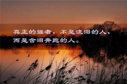 正能量微商的句子帶