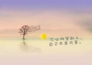 關(guān)于運動(dòng)的正能量的句子短句