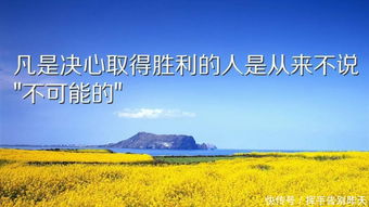 激勵(lì)人心正能量的句子,句句刻骨銘心!,早安激勵(lì)人心的正能量句子,職場(chǎng)激勵(lì)人心的正能量句子