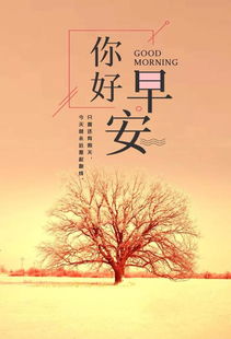 早安,句話(huà),句子,心語(yǔ)