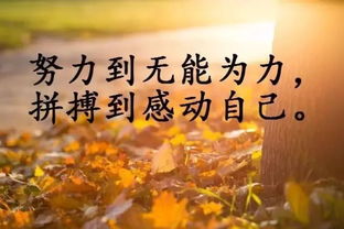 正能量句子勵志錄音碟