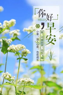 一切都會(huì )好起來(lái)的經(jīng)典句子,形容一切都會(huì )好起來(lái)的句子,加油一切都會(huì )好起來(lái)的句子