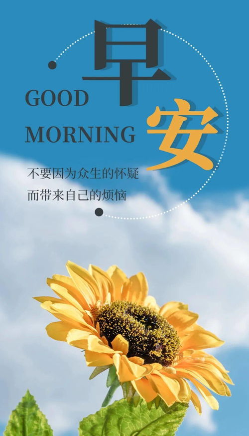 忙碌一天開始正能量的句子,忙碌一天結束正能量的句子,一天一句正能量句子