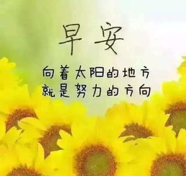 早安,句子,能量