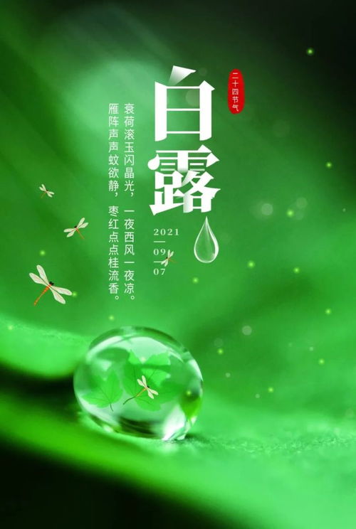 句子,能量