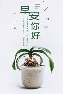 發(fā)朋友圈陽(yáng)光心態(tài)正能量句子