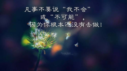 什么是社會(huì )正能量句子