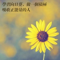 句子,語(yǔ)句,能量,加油