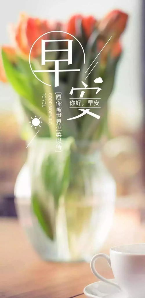 早安感恩正能量的句子,早安感恩正能量的句子,早安勵(lì)志正能量的句子