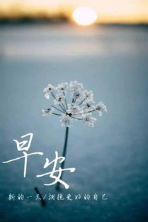 簡(jiǎn)短正能量勵志易經(jīng)句子