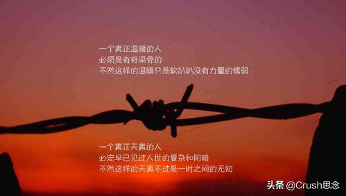 形容團隊精神的正能量的句子