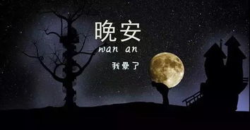晚安勵志心語(yǔ)正能量句子,健康晚安心語(yǔ)正能量句子,晚安心語(yǔ)英語(yǔ)正能量句子