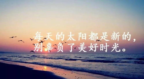 人心,句子,激勵,能量