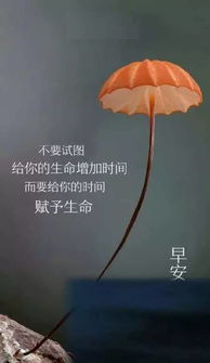句子,能量
