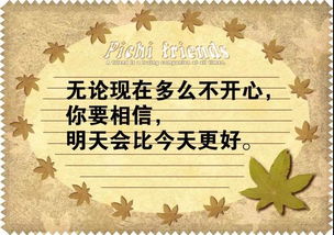 努力生活的正能量句子說(shuō)說(shuō)心情短語(yǔ)